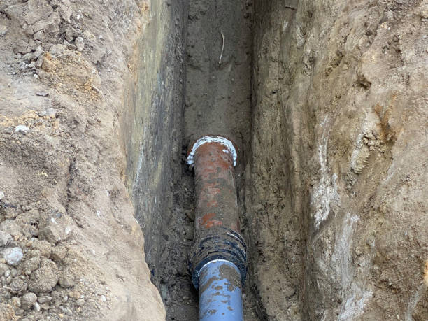 Best Professional water damage repair  in Ferriday, LA