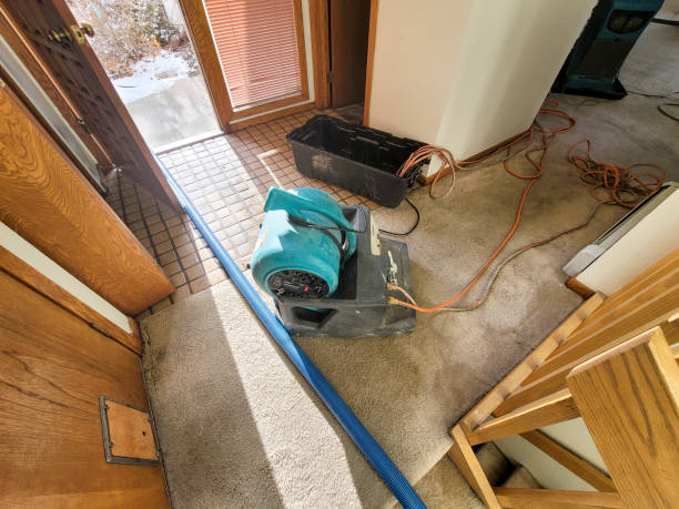 Best Commercial water damage restoration  in Ferriday, LA