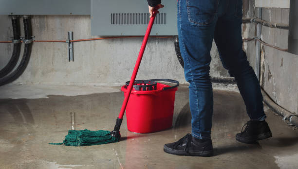 Best Water damage contractors near me  in Ferriday, LA