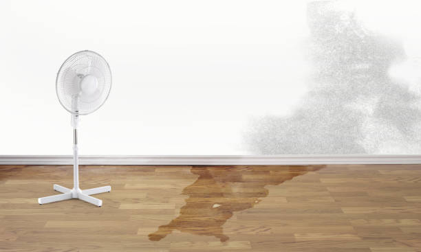Best Flood restoration services  in Ferriday, LA