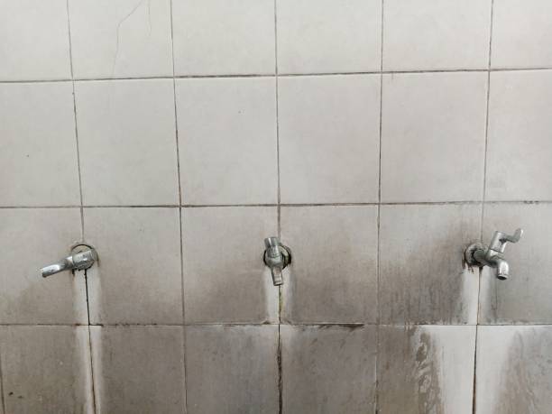 Best 24/7 water damage repair  in Ferriday, LA