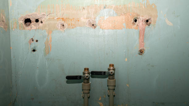 Best Fire Damage Restoration  in Ferriday, LA
