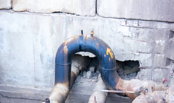 Best Basement water damage restoration  in Ferriday, LA