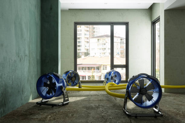Best 24-hour water damage restoration  in Ferriday, LA